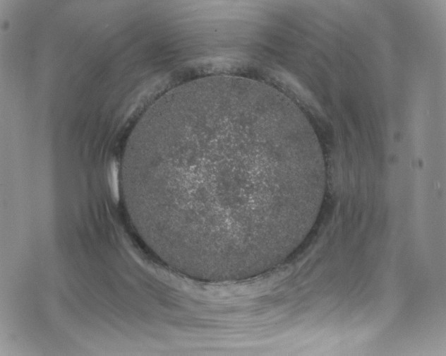 X0000076270022200609281217