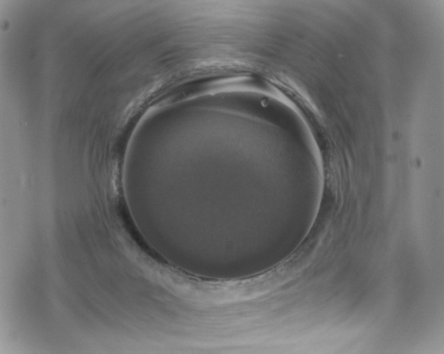 X0000076270023200609281217