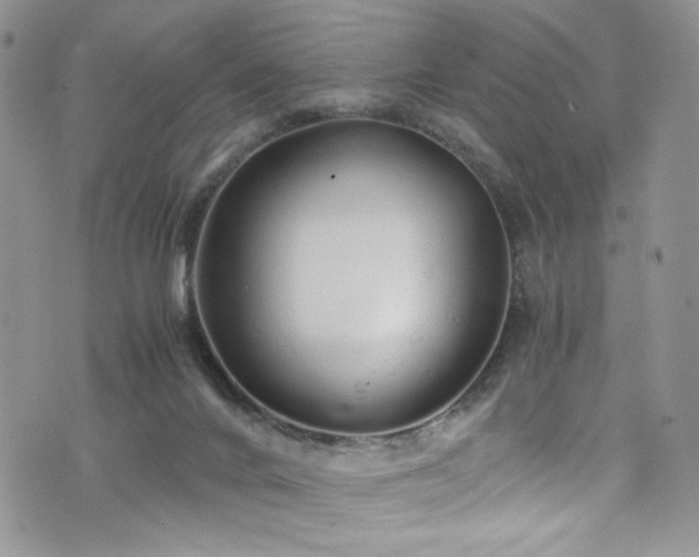 X0000076270024200609281217