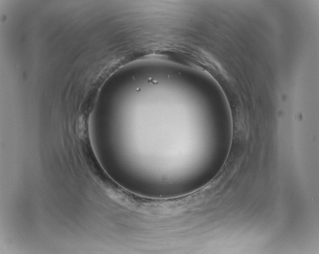 X0000076270025200609281217