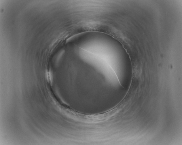 X0000076270027200609281217