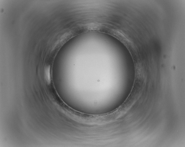 X0000076270028200609281217