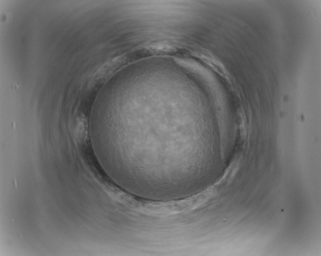 X0000076270029200609281217