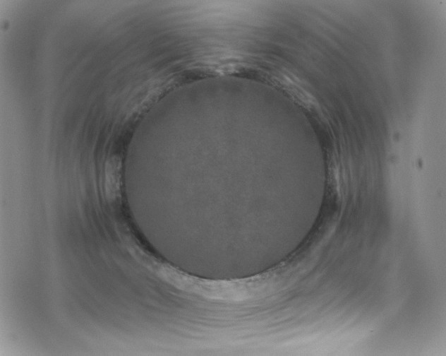 X0000076270030200609281217