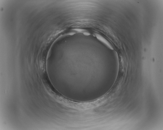 X0000076270031200609281217