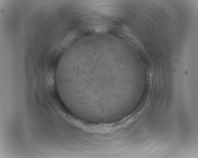 X0000076270032200609281217