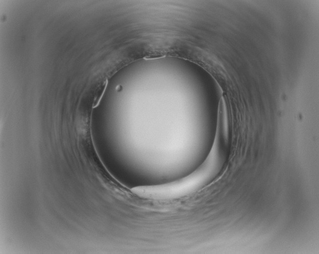 X0000076270033200609281217