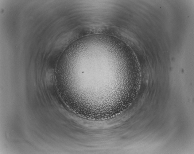 X0000076270034200609281217