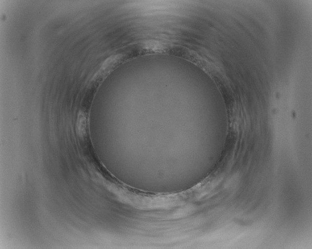 X0000076270036200609281217