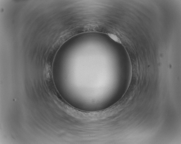 X0000076270038200609281217