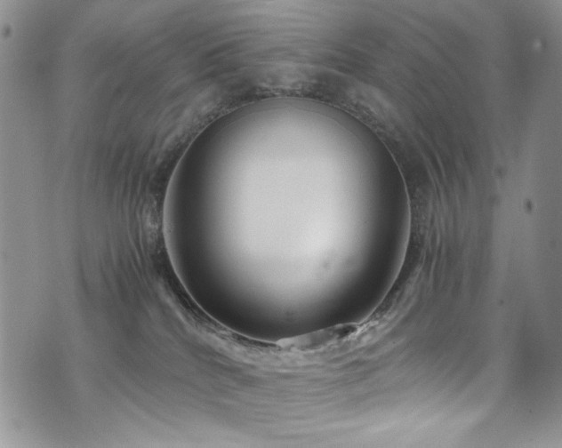 X0000076270040200609281216