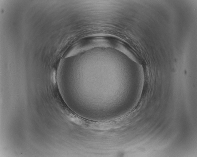 X0000076270041200609281216