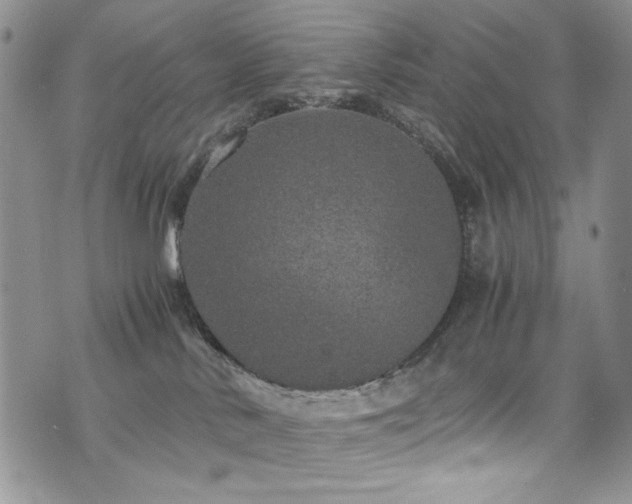 X0000076270042200609281216