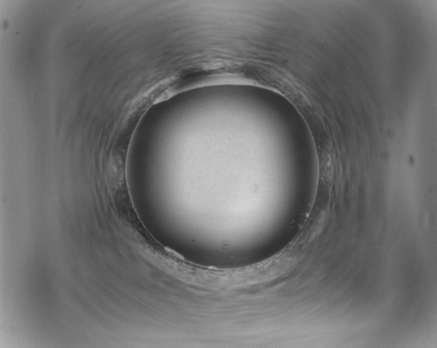 X0000076270043200609281216