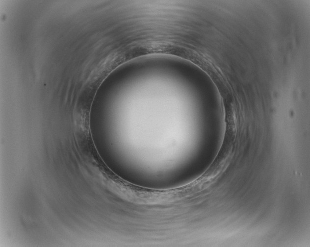 X0000076270044200609281216