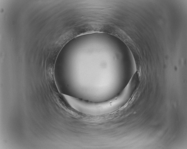 X0000076270045200609281216