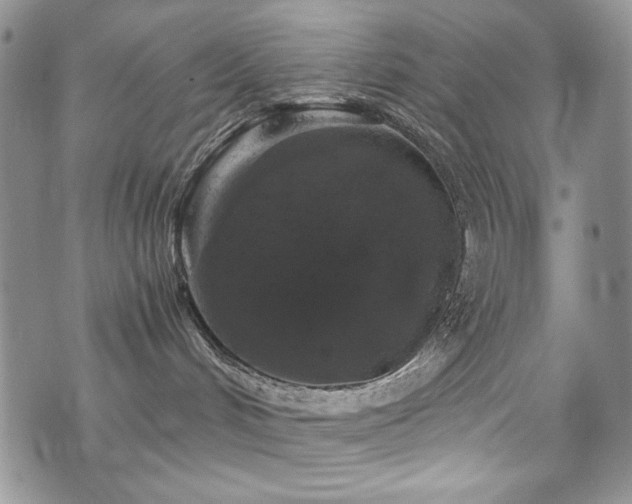 X0000076270048200609281216