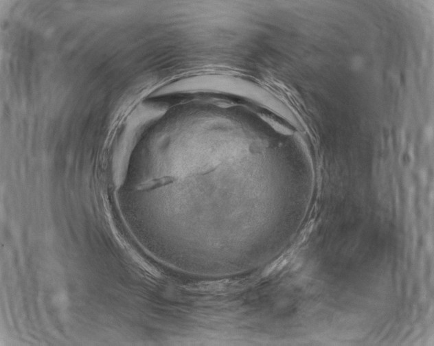 X0000076270049200609281216