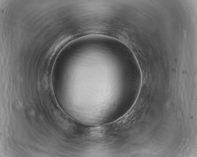 X0000076270050200609281216