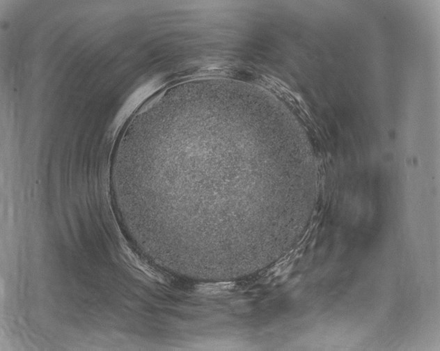 X0000076270051200609281216