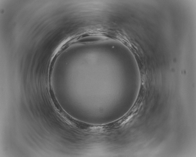 X0000076270052200609281216