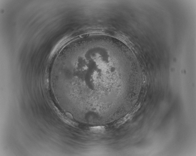 X0000076270053200609281216