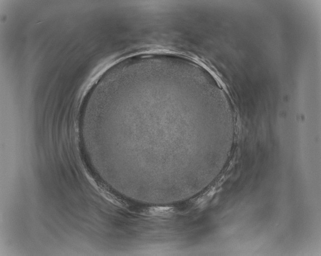 X0000076270055200609281216