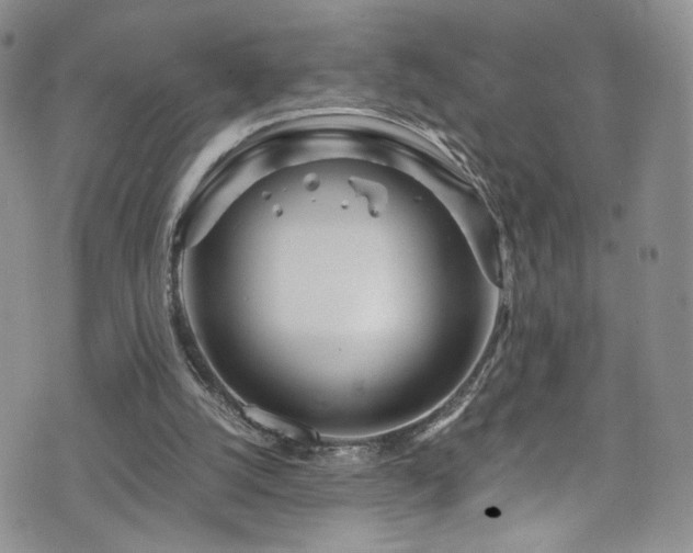 X0000076270056200609281216