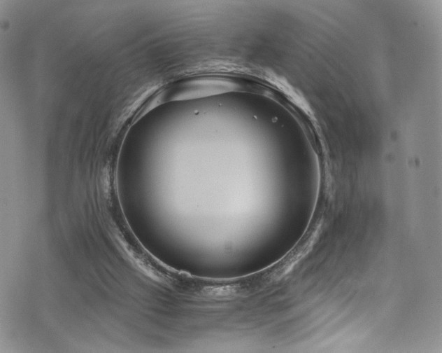 X0000076270057200609281216