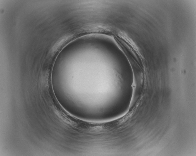 X0000076270058200609281216