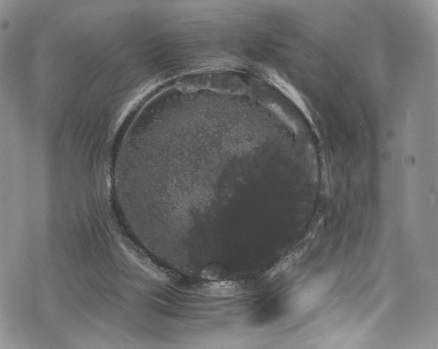 X0000076270059200609281216