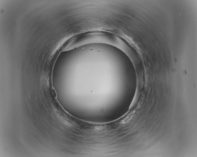 X0000076270060200609281216