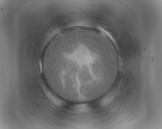 X0000076270061200609281216