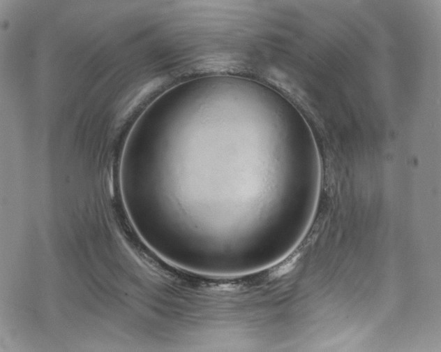 X0000076270062200609281216