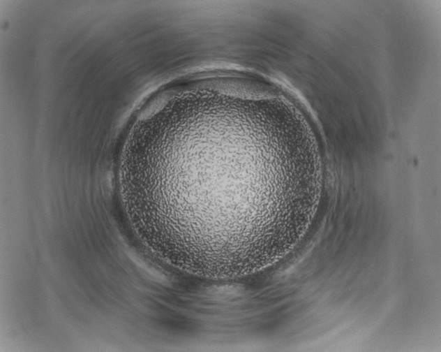 X0000076270063200609281216