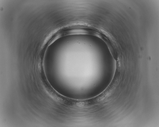 X0000076270064200609281216