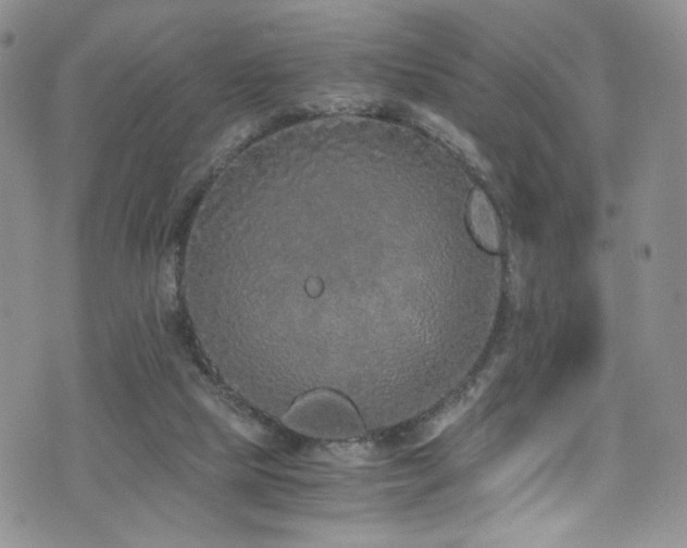 X0000076270065200609281216