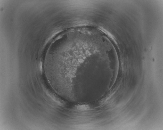 X0000076270067200609281216