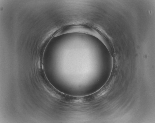 X0000076270068200609281216