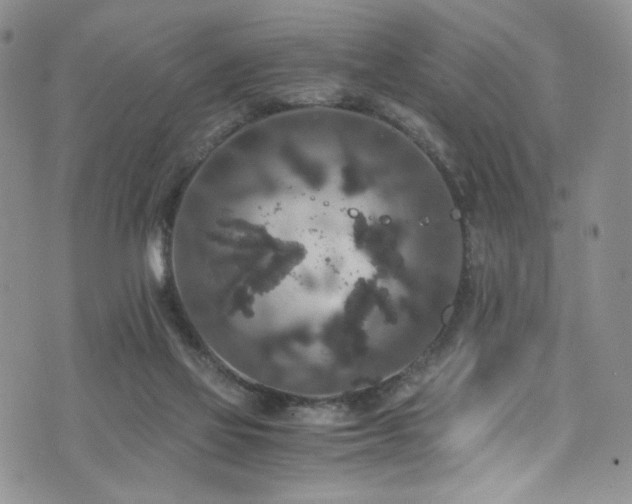 X0000076270069200609281216