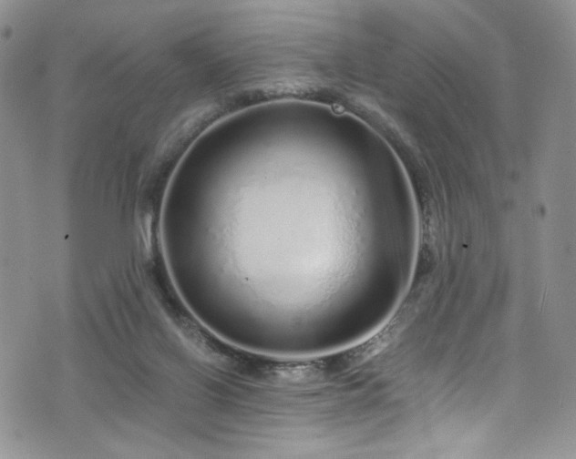 X0000076270070200609281216