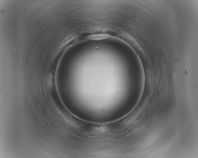 X0000076270071200609281216