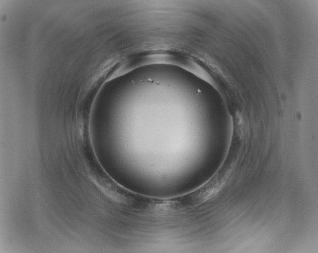 X0000076270072200609281216