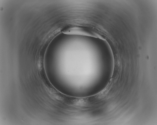 X0000076270074200609281216