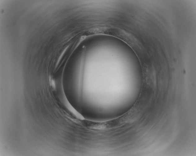 X0000076270075200609281216