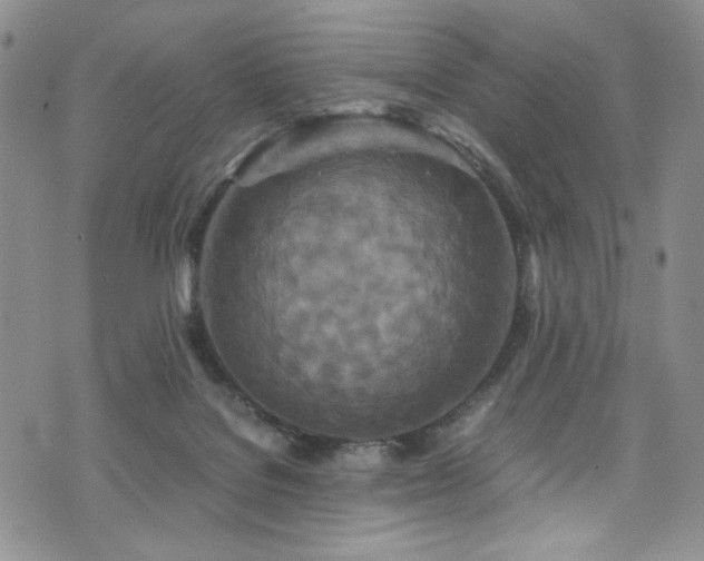 X0000076270076200609281216