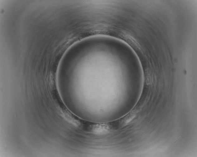 X0000076270077200609281216