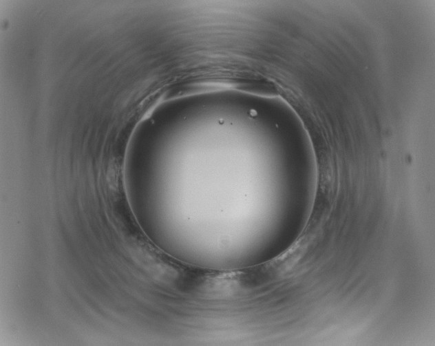 X0000076270078200609281216