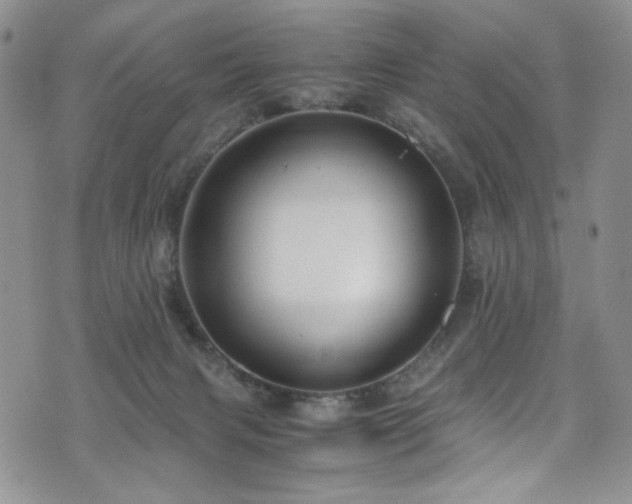 X0000076270079200609281216