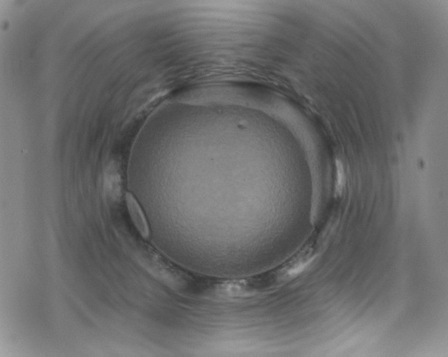 X0000076270080200609281216